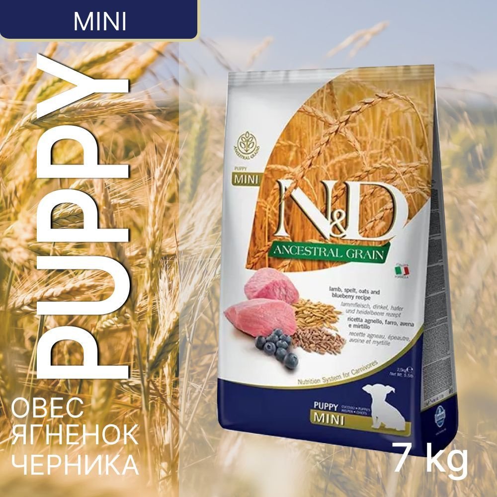 Сухой корм Фармина для собак Farmina, низкозерновой ягненок и черника ...