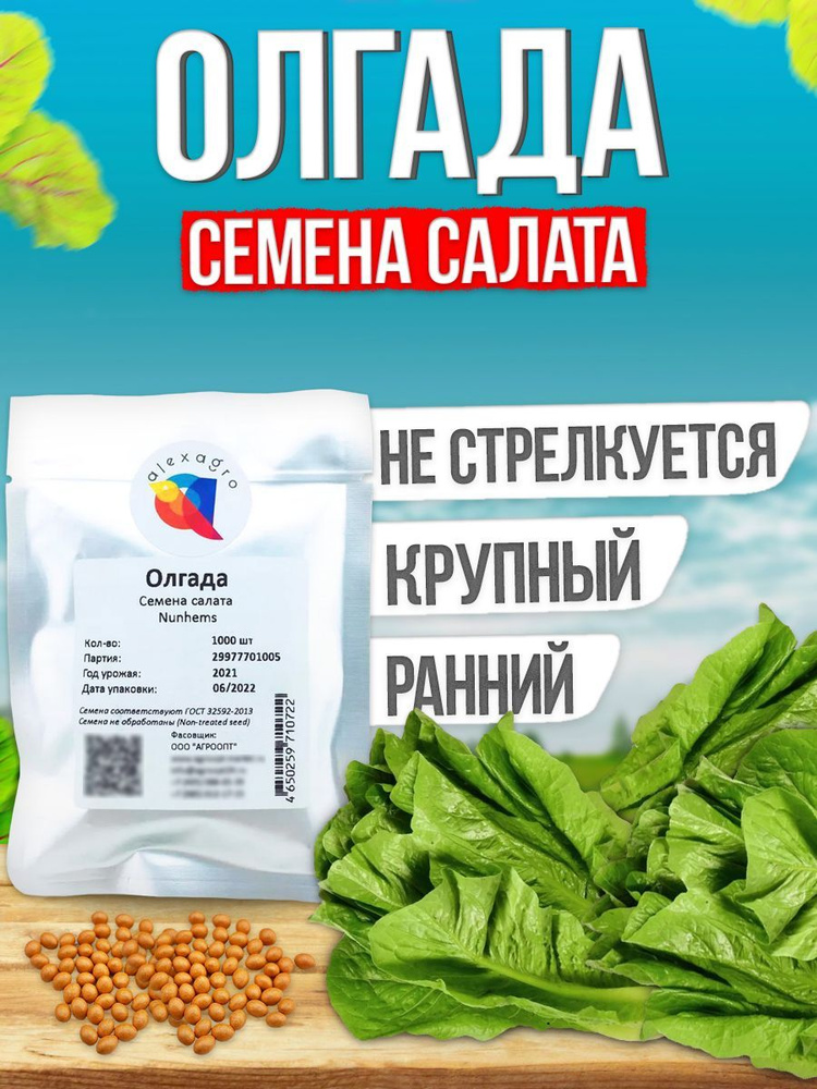 Олгада семена салата (Nunhems / ALEXAGRO) (1000 шт.) #1