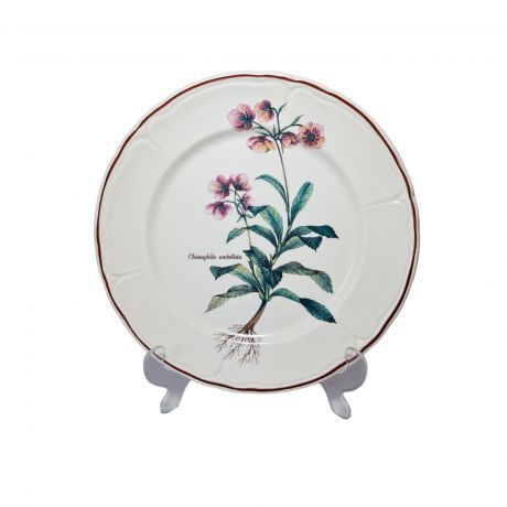 Im Stil von Villeroy&Boch Тарелка из коллекции "Chimaphila umbellata" с цветочным декором, 24,5 см, Германия, #1