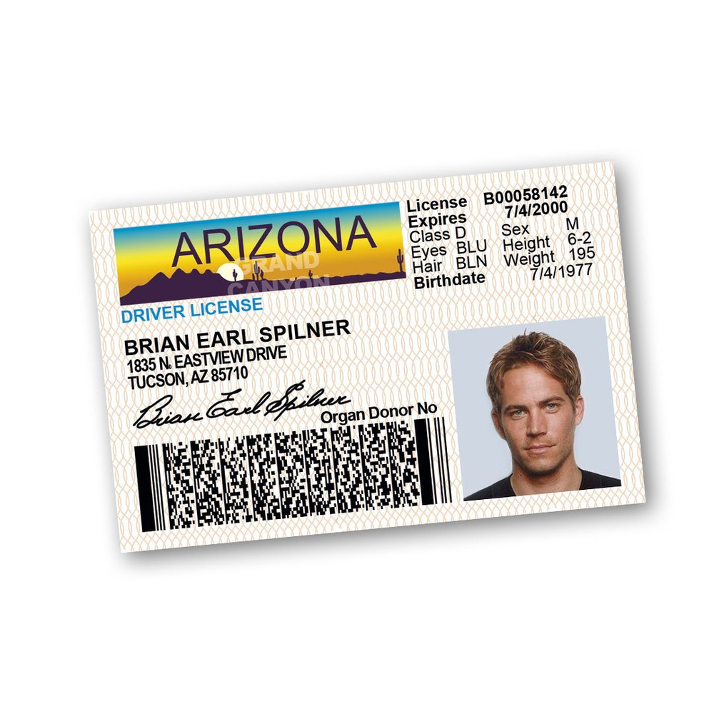 Сувенирные водительские права Пол Уокер (DRIVER LICENCE ARIZONA) 86х56 мм