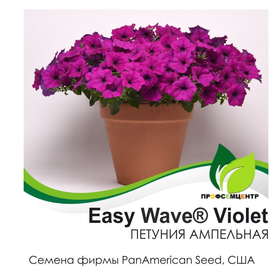 Петуния Easy Wave Violet (Изи Вэйв Виолет), семена, 5 шт. (фасовка), ампельная #1