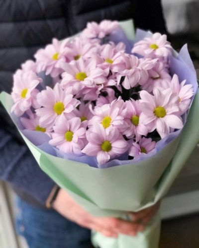 Кустовые хризантемы, цвет Цветочная акварель,  3 шт #1