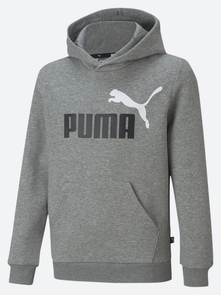 Худи PUMA Ess+ 2 Col Big Logo Hoodie #1