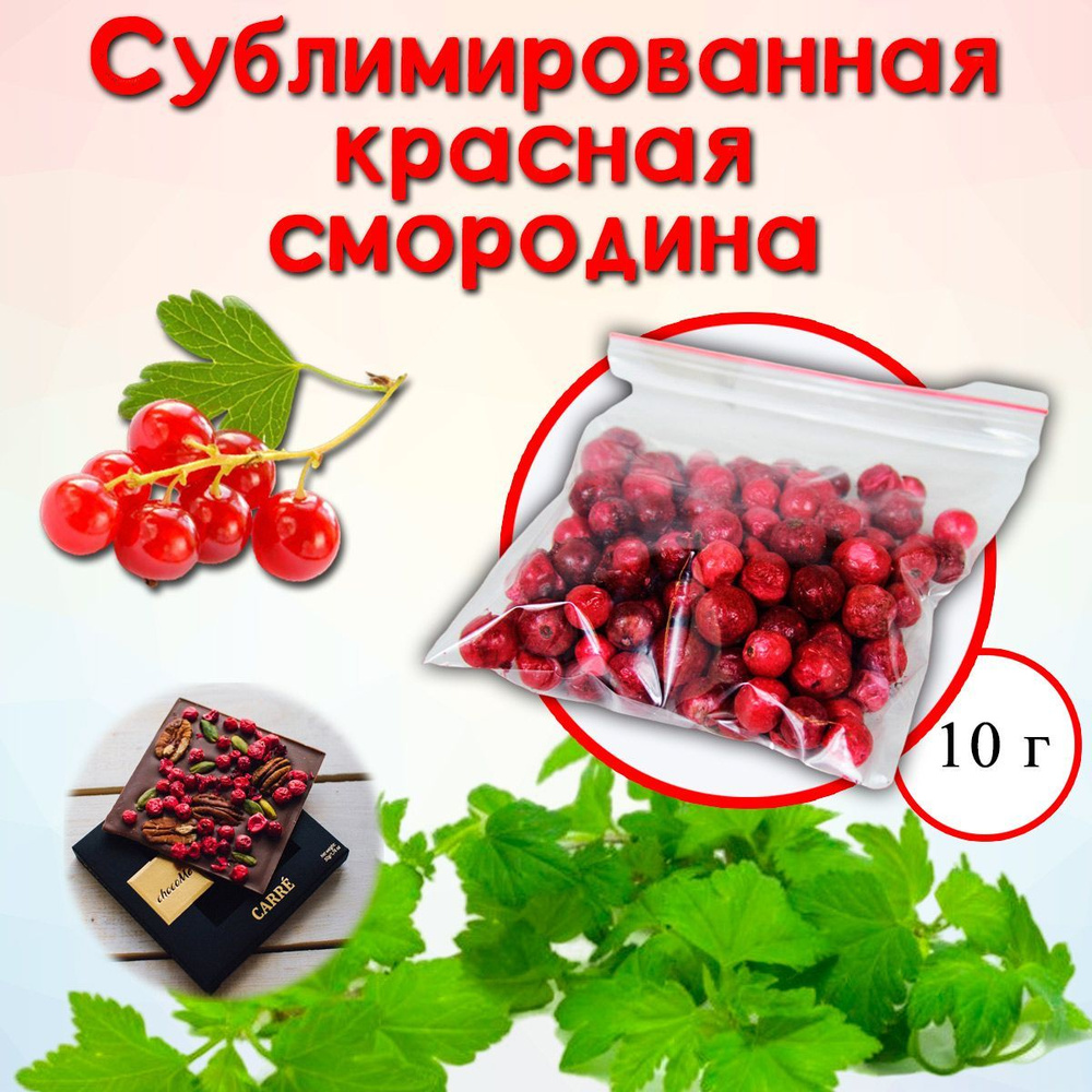 Сублимированная красная смородина ягоды 10 г #1
