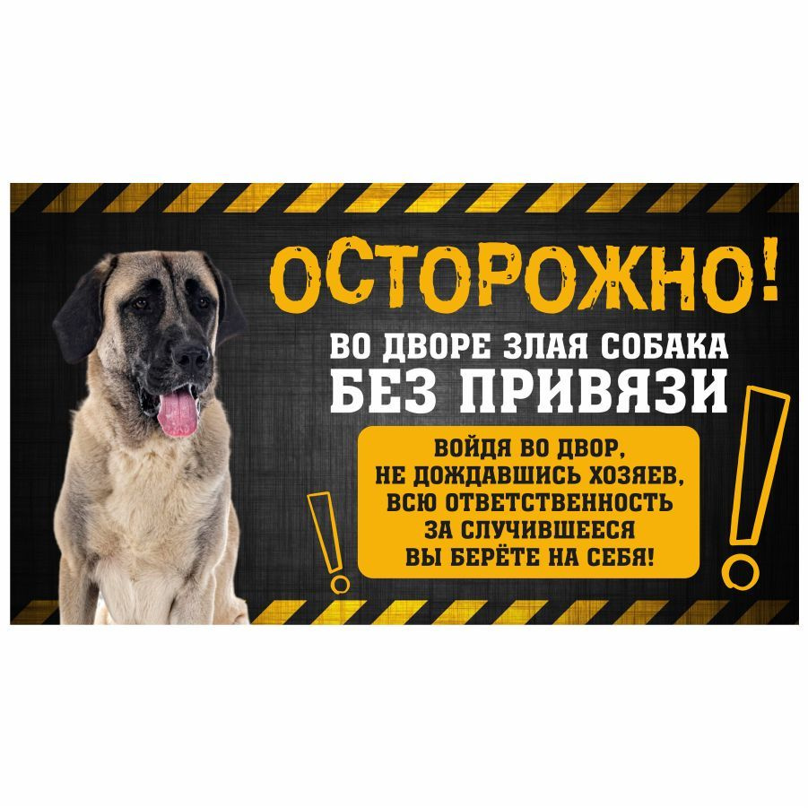 Табличка, с юмором, прикол, DANGER DOG, Осторожно! Во дворе собака без привязи, Кангал, 25x14 см  #1