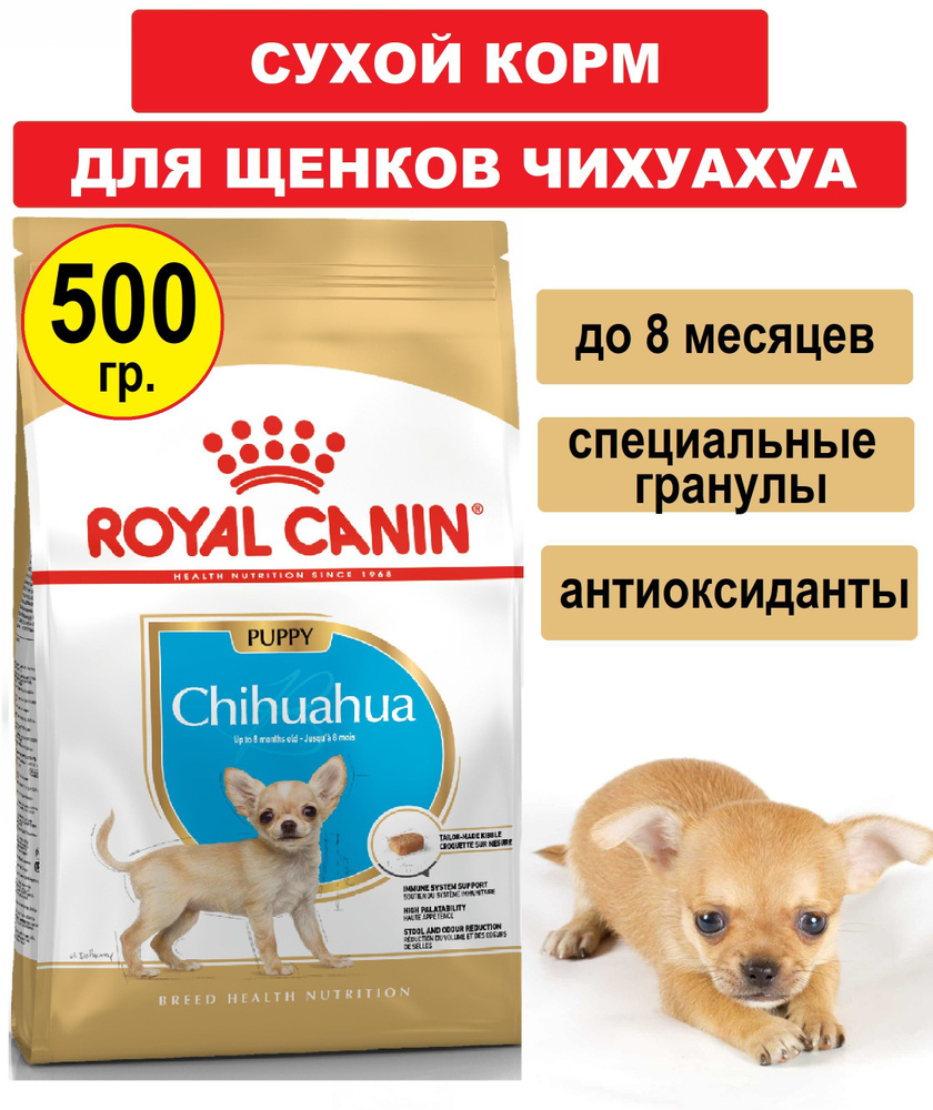 Корм роял канин Royal Canin Chihuahua Puppy Сухой корм для щенков породы  Чихуахуа до 8 месяцев, 500 г