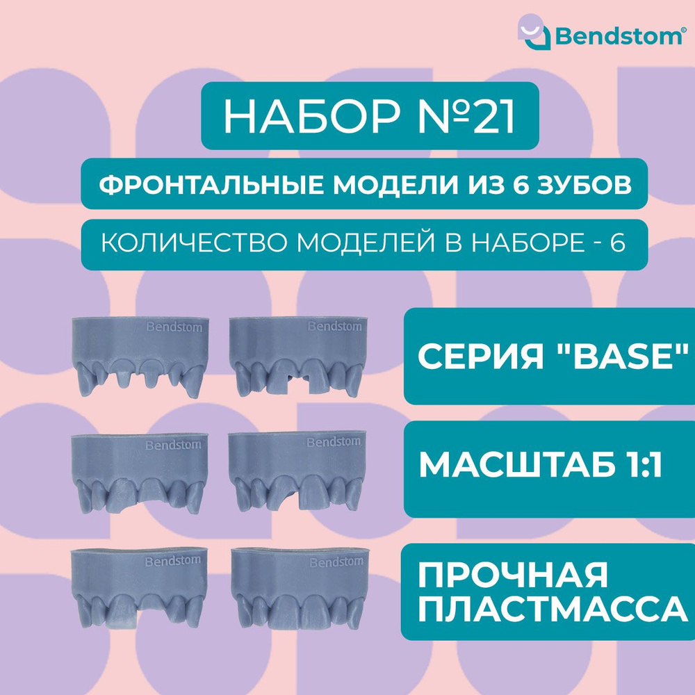 Набор №21 Base фронтальные модели из 6 зубов (6 штук) препарированные + анатомия / для отработки мануальных #1