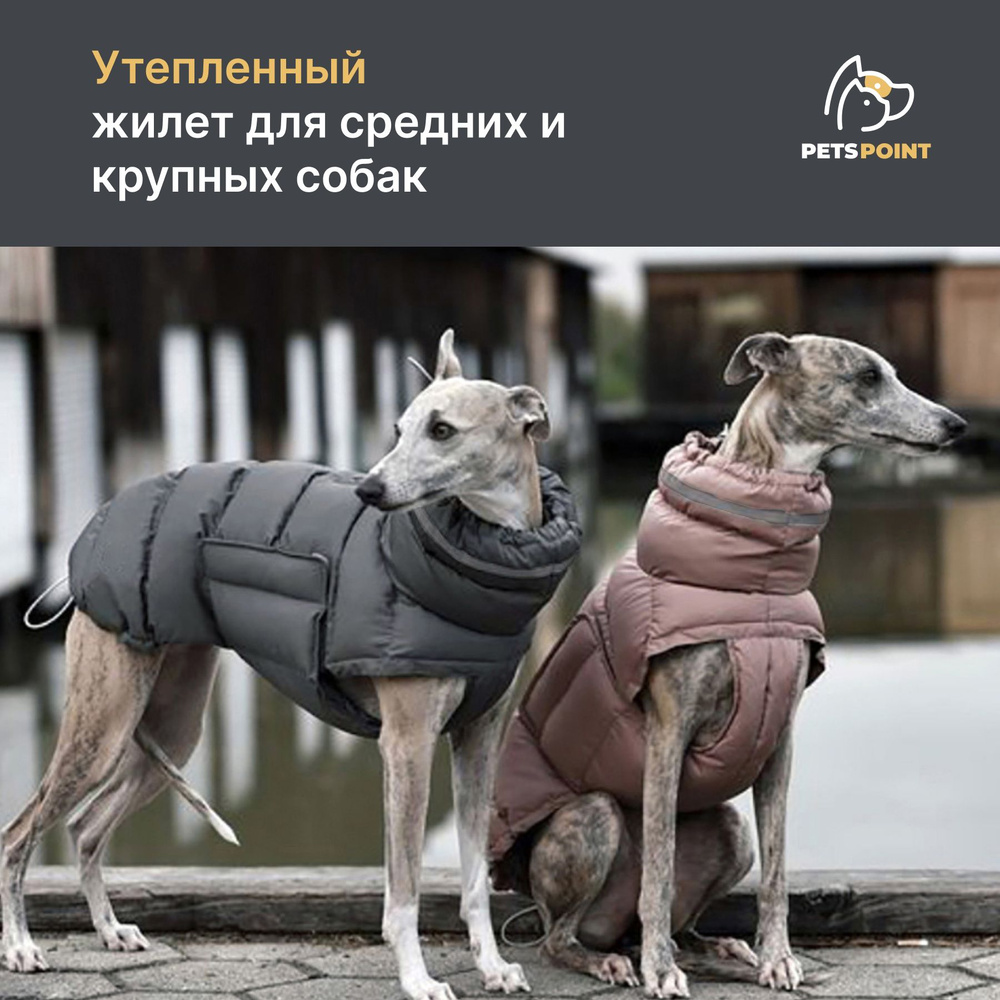 Одежда для животных купить на OZON по низкой цене (1784008558)