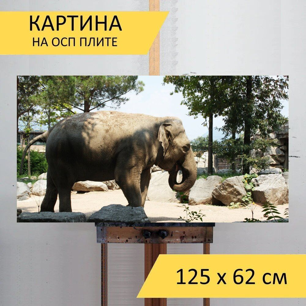 LotsPrints Картина "Слон, животное, животные 63", 125  х 62 см #1