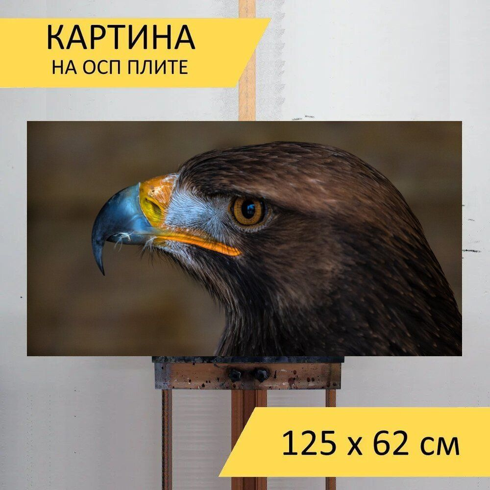 Картина птиц 