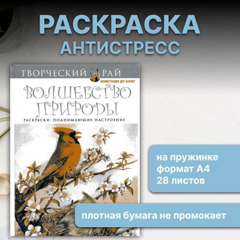 Раскраска А4 16 стр. антистресс ArtSpace «Антистресс.»Райские птицы» — Офисная техника