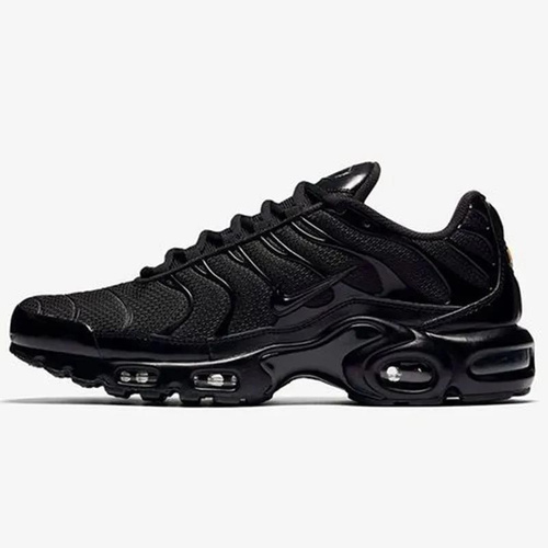 Have a nike store day air max tn