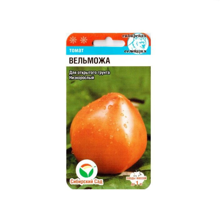 Томат Вельможа: описание сорта помидоров, характеристики. Особенности посадки и 