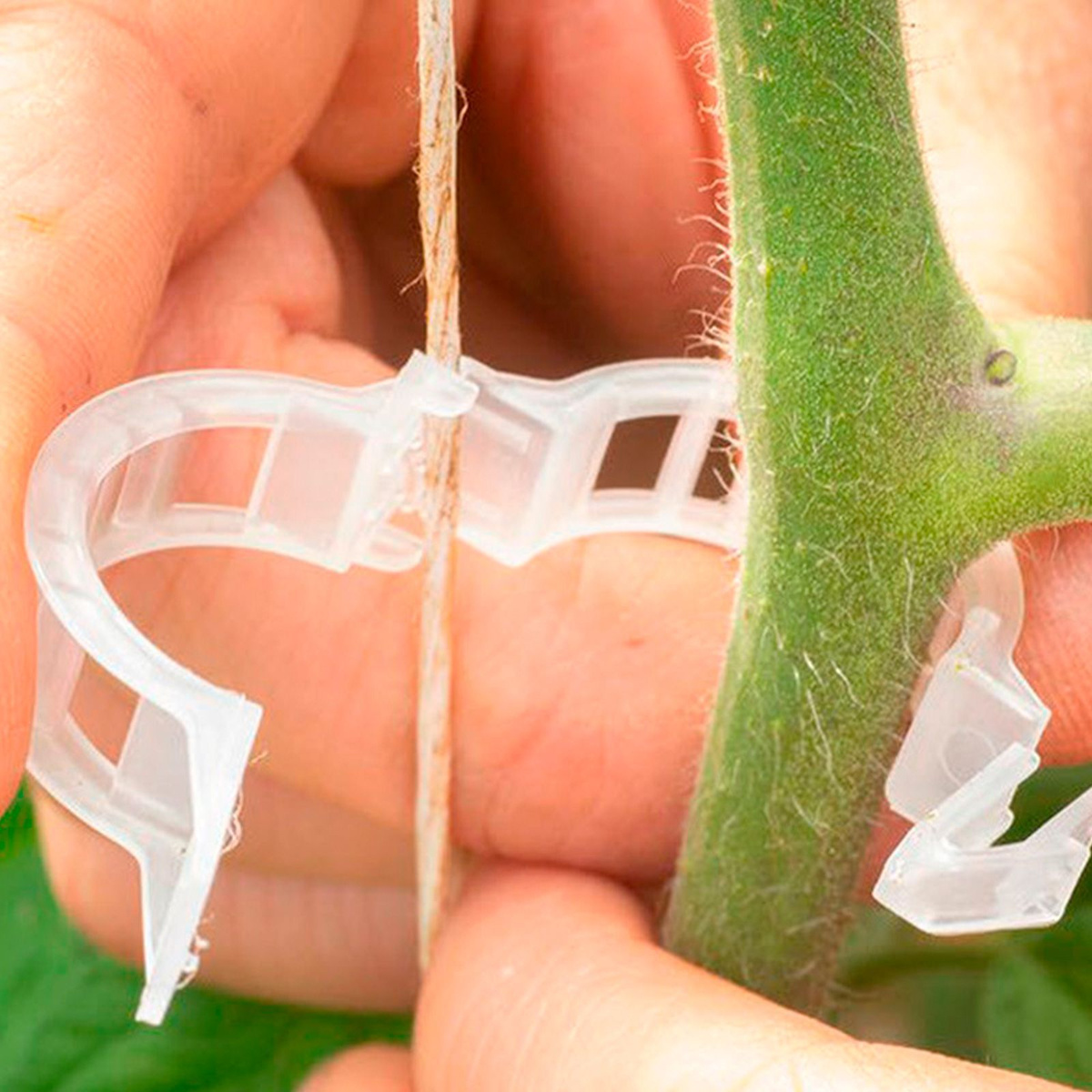 Садовые зажимы для растений. Набор для подвязки деревьев park hg6123 (подвязки 10шт, проволока 8м). Кистедержатель улитка д/томатов. Подвязка для растений. Как пользоваться подвязками для растений.