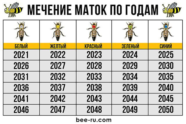 Маркировка пчеломаток цвета по годам