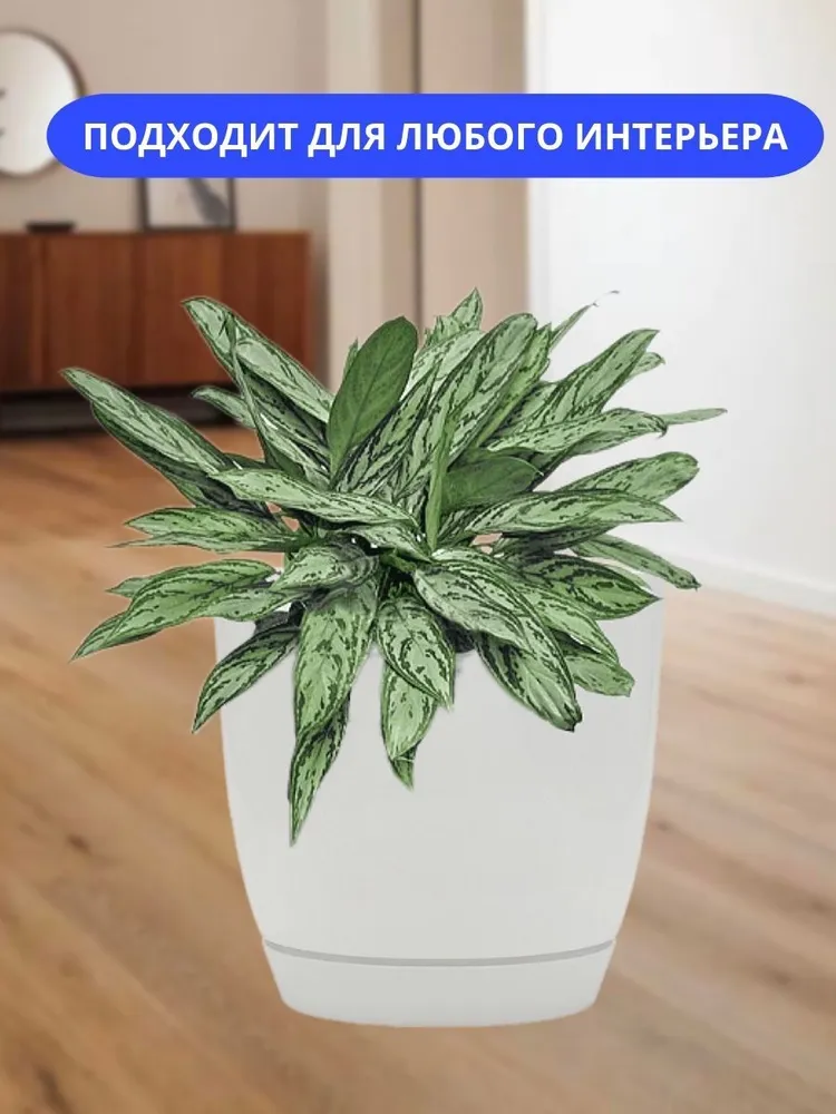 Горшок для цветов комнатных пластиковый Elfplast 2 л, кашпо для растений и суккулентов, настольное, белый, 2 л, фото 2