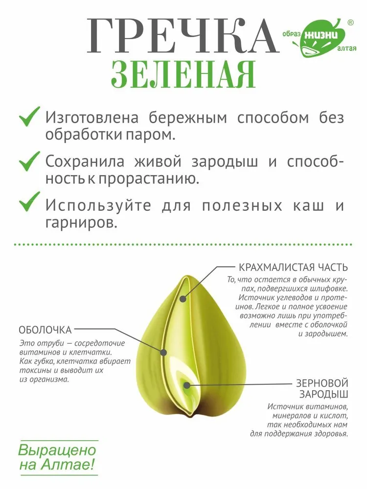 Гречка зеленая алтайская для каш и проращивания, 3 кг, 3 кг, фото 5