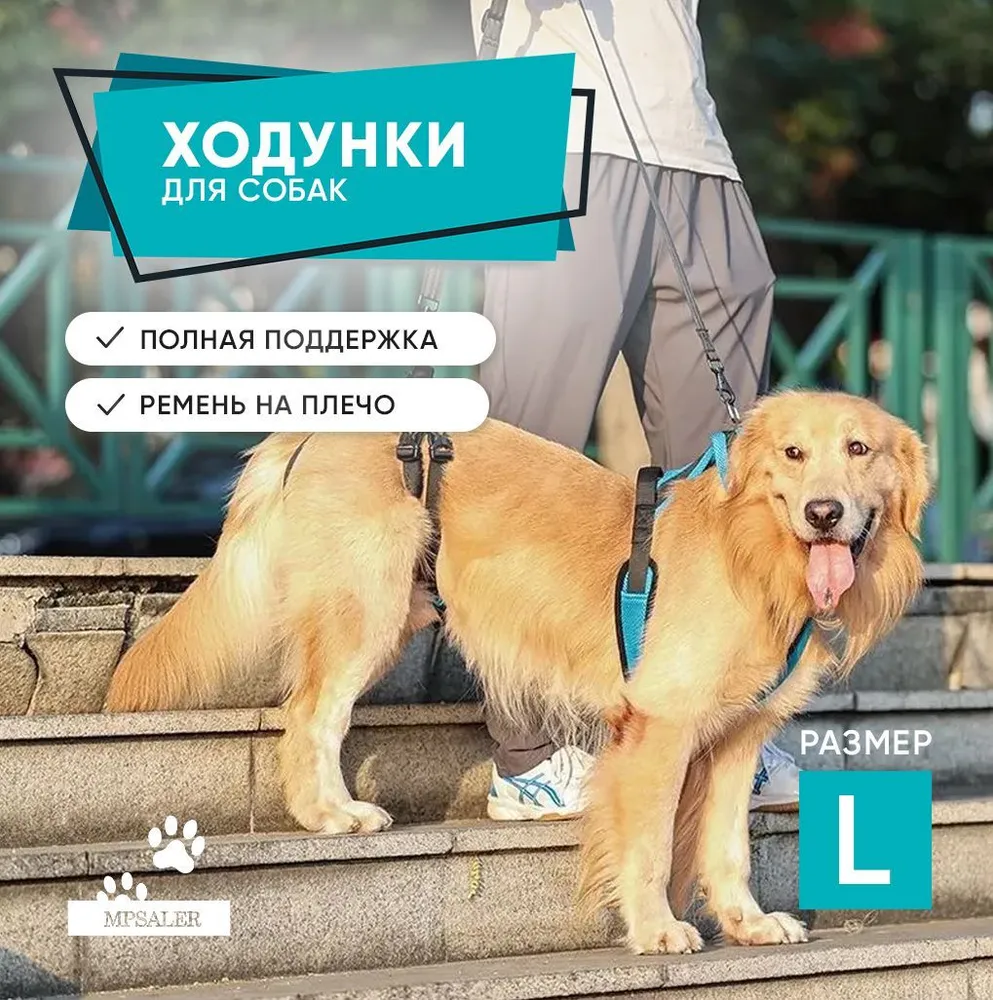 Ходунки для собак, пожилых и травмированных. Размер L., вариант