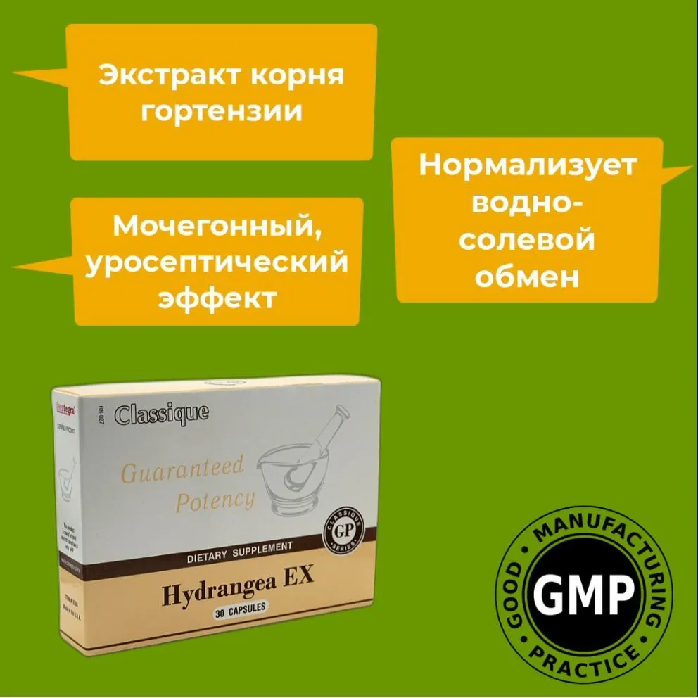 Гортензия экстракт Сантегра. Hydrangea EX Santegra. Уросептик для почек. 300 мг, 30 капсул., вариант