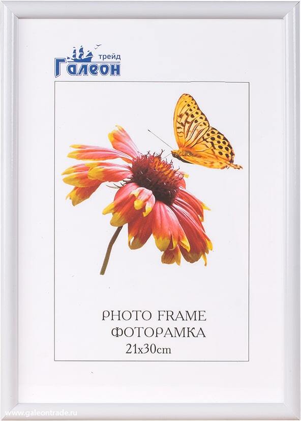 Фоторамка пластиковая 21 х 30 см, 1302A-012AL