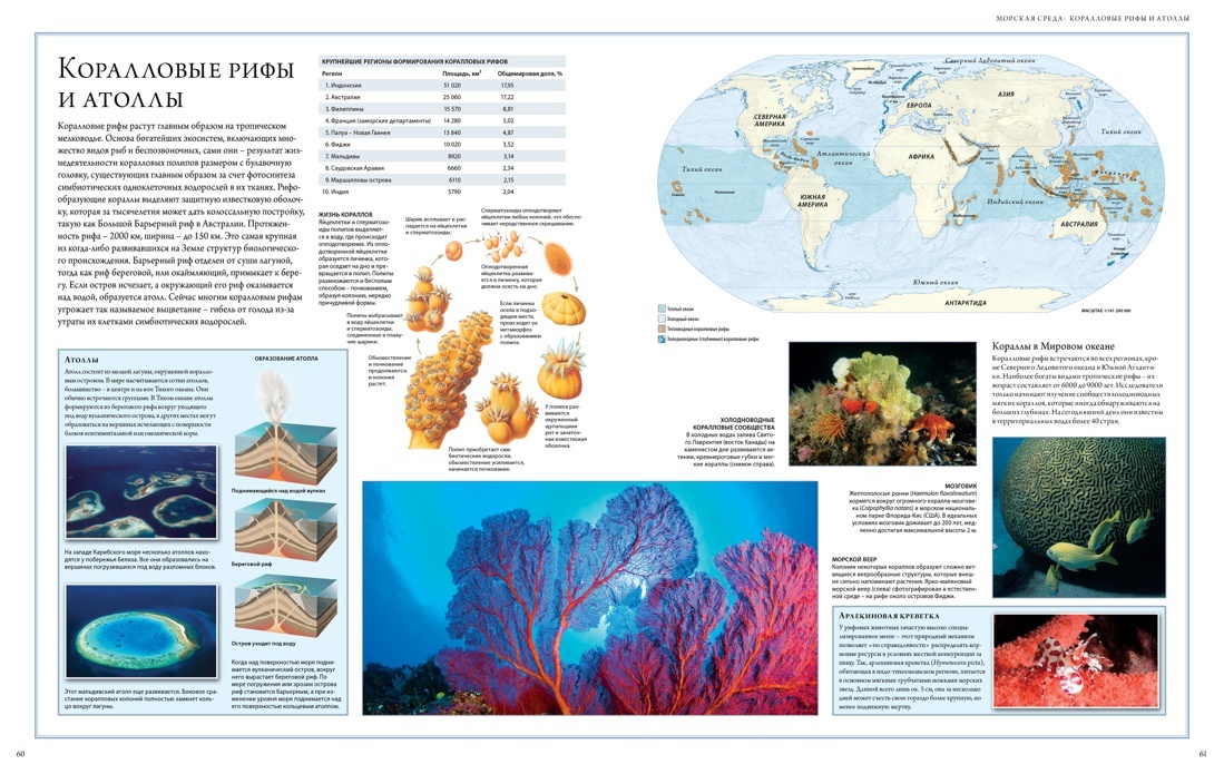 Океаны. Иллюстрированный атлас | Oceans: An Illustrated Atlas - Ozon image 4