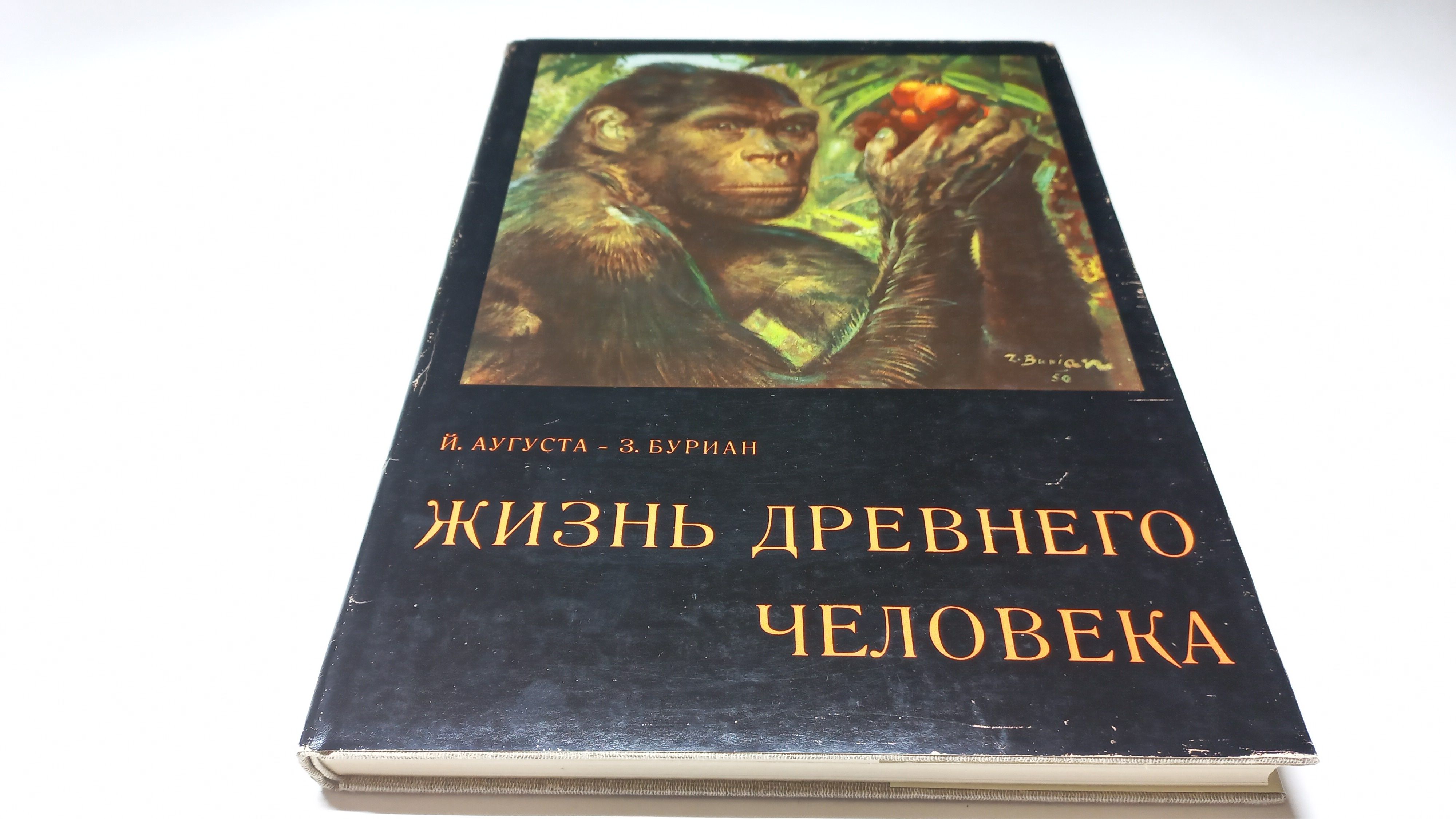 Semiz lezbiyenlarni tomosha qiling