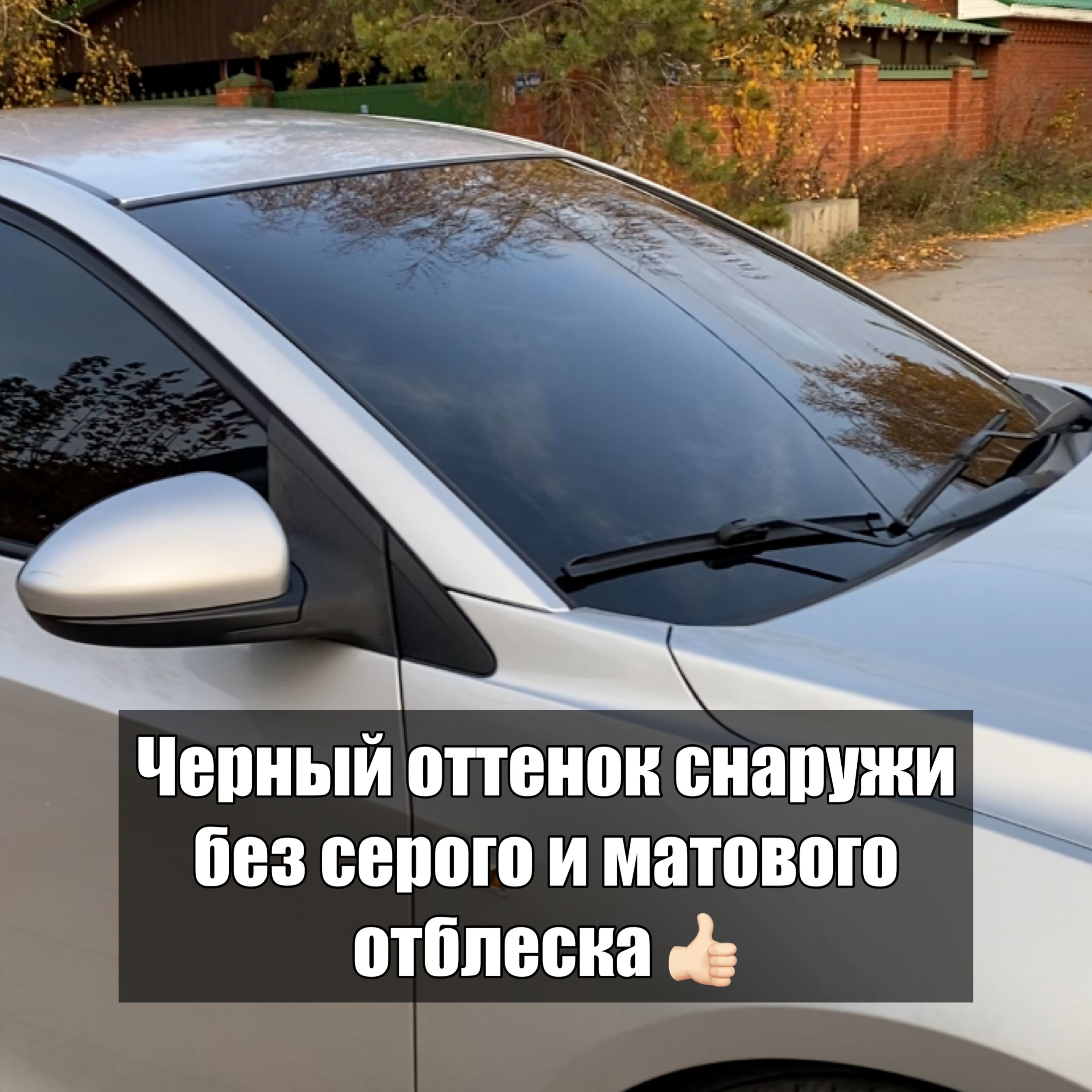 Тонировка съемная LION TONER, 15%, 5x50 см купить по выгодной цене в ...