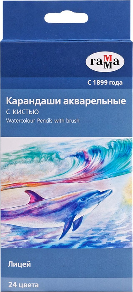 Карандаши акварельные Гамма "Лицей", 24цвета+кисть, заточенные, картон, европодвес  #1