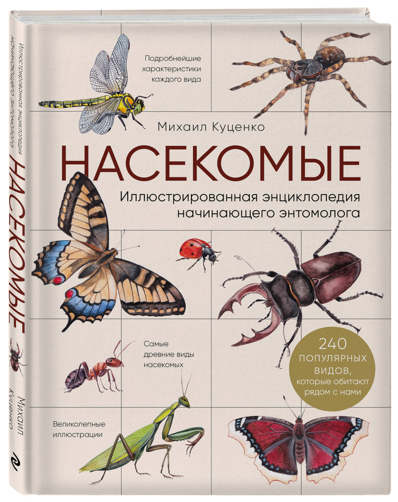 Насекомые. Иллюстрированная энциклопедия начинающего энтомолога. 240  популярных видов, которые обитают рядом с нами | Куценко Михаил Евгеньевич  - купить с доставкой по выгодным ценам в интернет-магазине OZON (253330579)