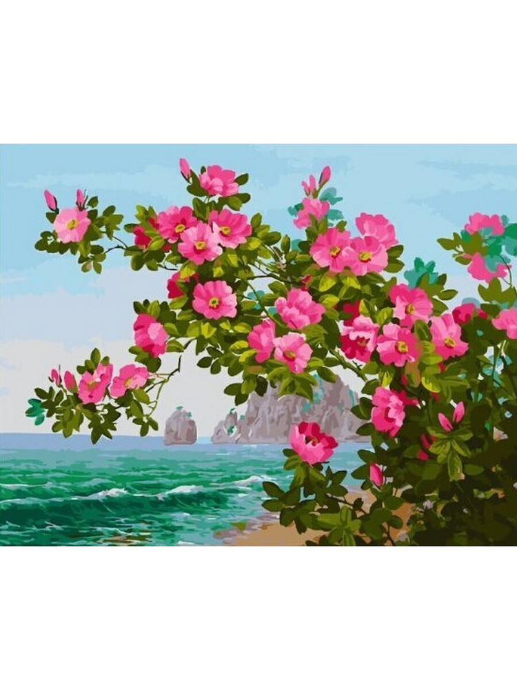 Картина по номерам Цветы у моря. Букеты. Скалы 40х50 см - купить с ...