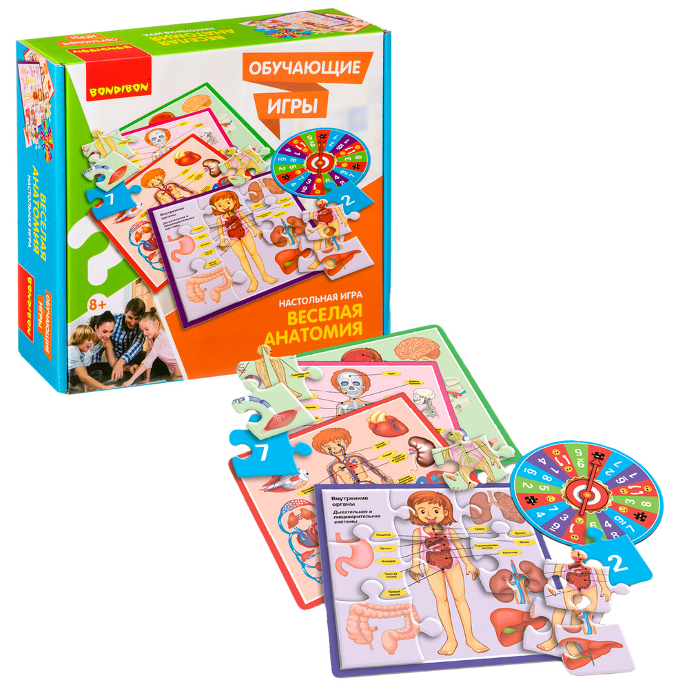 Настольная игра Веселая анатомия / Обучающие игры Bondibon - купить с ...