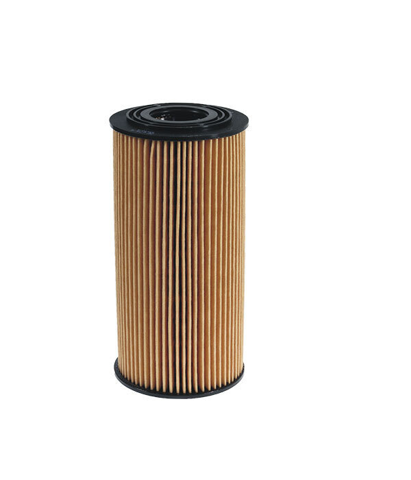 Фильтр масляный Filtron OE674/6, 1 шт #1