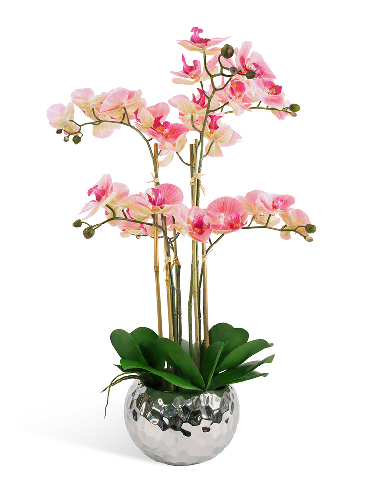 Авторские композиции с орхидеями
