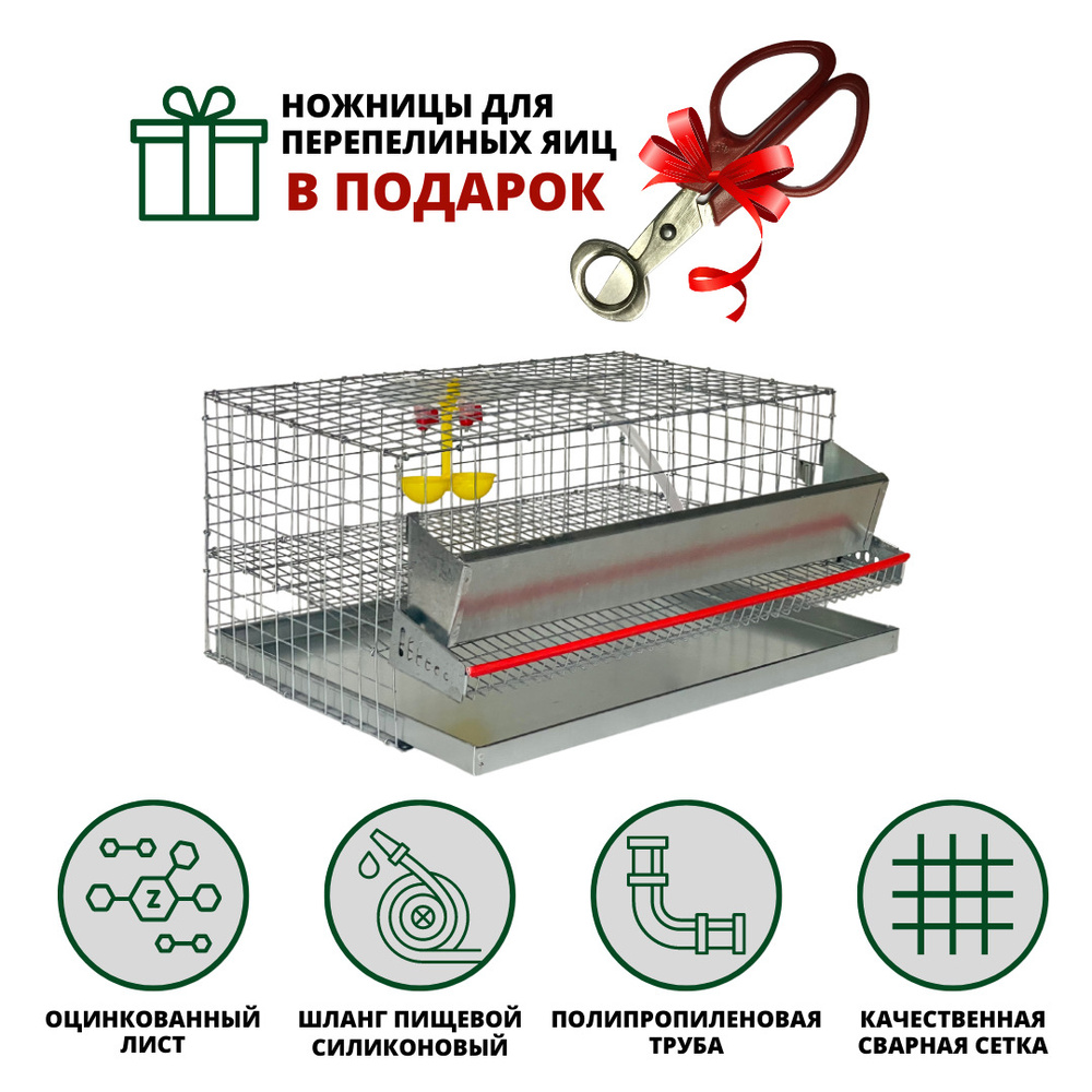 Клетка для перепелов на 15 голов в полной комплектации