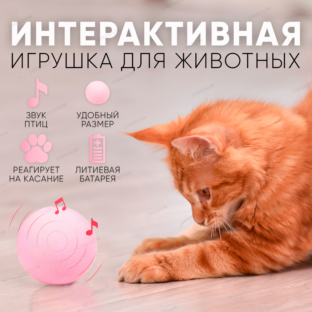 Игрушка для кошек, мячик со звуком птички, интерактивная игрушка, шарик  для кошек, дразнилка - купить с доставкой по выгодным ценам в  интернет-магазине OZON (356416123)