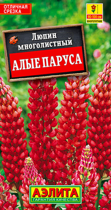 Семена Люпин Алые паруса многолетний (15 семян) - Аэлита #1