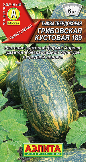 Семена Тыква твердокорая Грибовская Кустовая 189 (1г) - Аэлита #1