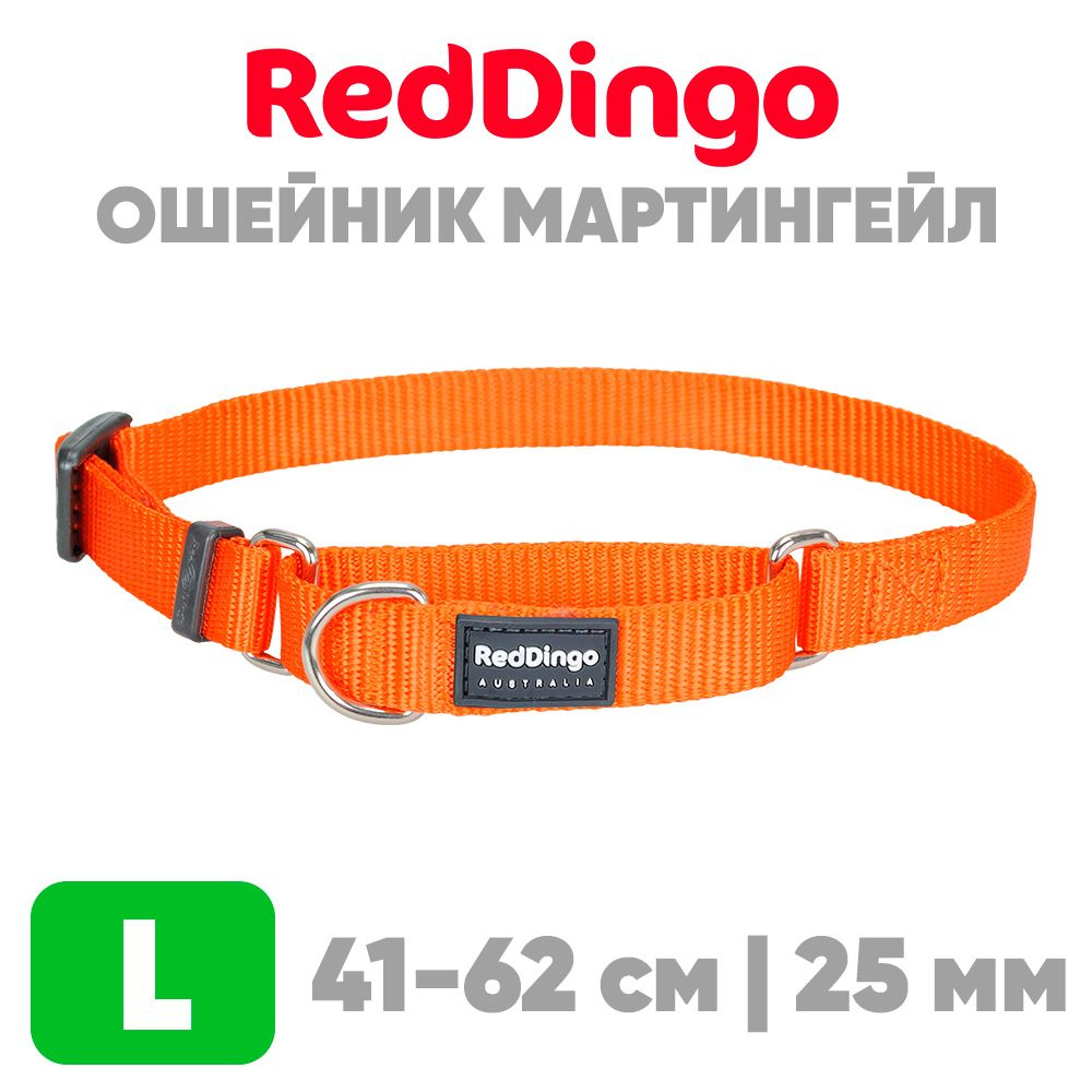 Ошейник мартингейл (полуудавка) для крупных пород собак Red Dingo оранжевый  #1