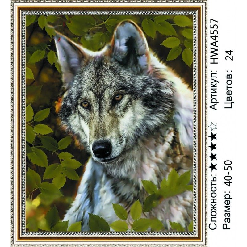 HWA4557 Алмазная мозаика 40*50 на подрамнике Волчий взгляд - купить с  доставкой по выгодным ценам в интернет-магазине OZON (825784017)