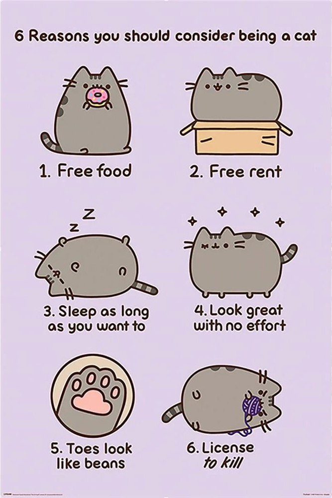 Постер 61 х 91,5 см. Pusheen (Reasons to be a Cat) Pyramid International. Плакат большого формата для #1