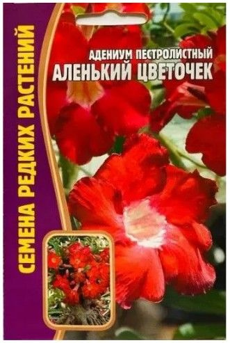 семена, адениум Аленький цветочек, 1 пачка 3 семечки. Григорьев  #1