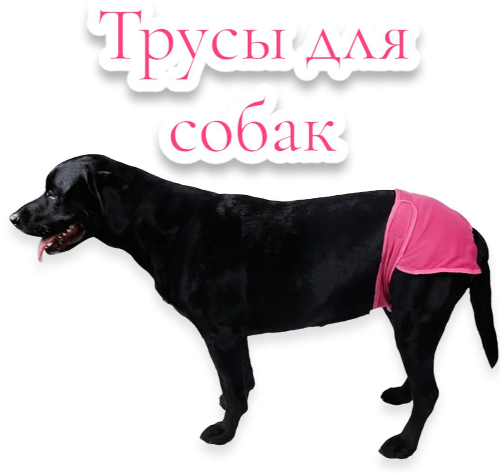 Трусы для собак на время течки,размер XL,многоразовые , защитные трусы для  собак. - купить с доставкой по выгодным ценам в интернет-магазине OZON  (559138666)