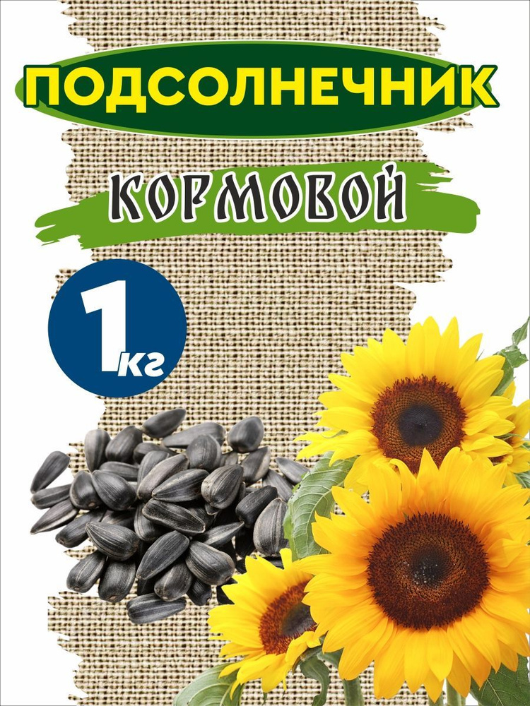 Семечки подсолнечника, семена-эко корм для крыс, птиц уличных, грызунов ...