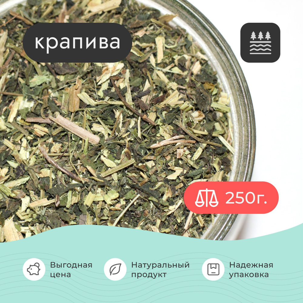 Крапива сушеная трава , 250 грамм / Для волос Для отвара Для настойки Для  чая - купить с доставкой по выгодным ценам в интернет-магазине OZON  (891324956)