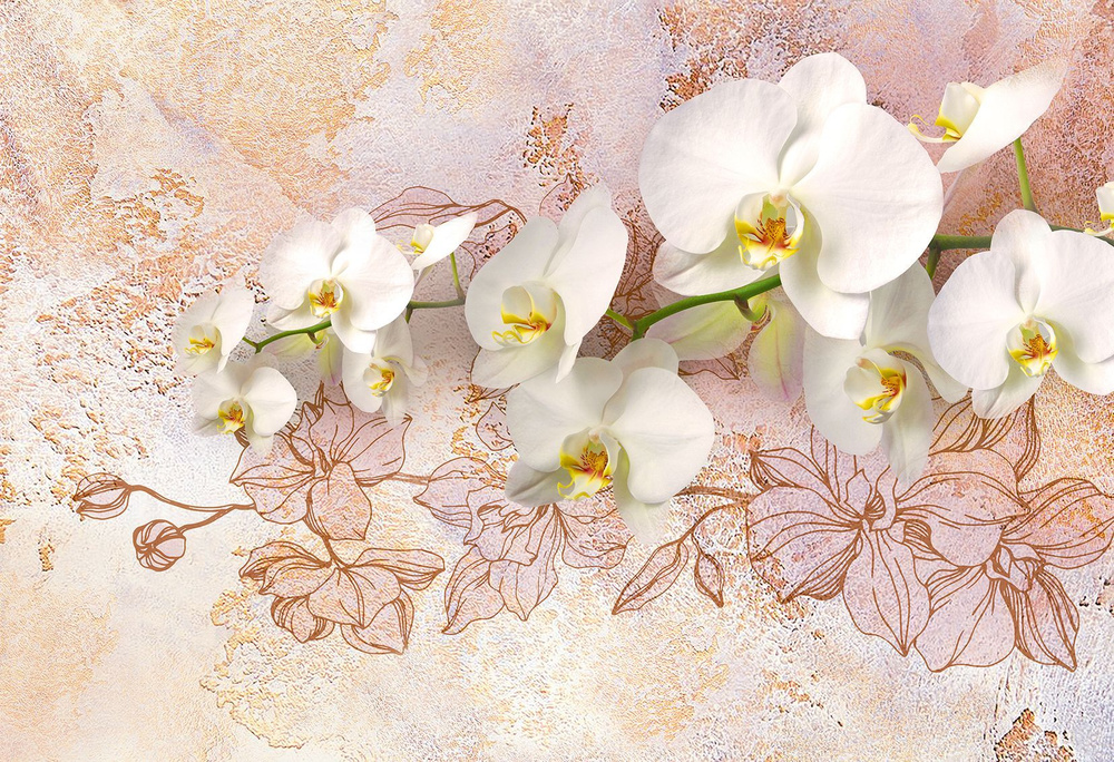 Фотообои Vostorg № 309 Белоснежная орхидея 294х201см #1