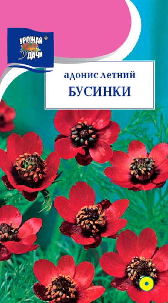 Адонис летний БУСИНКИ (Семена УРОЖАЙ УДАЧИ, 0,1 г семян в упаковке)  #1