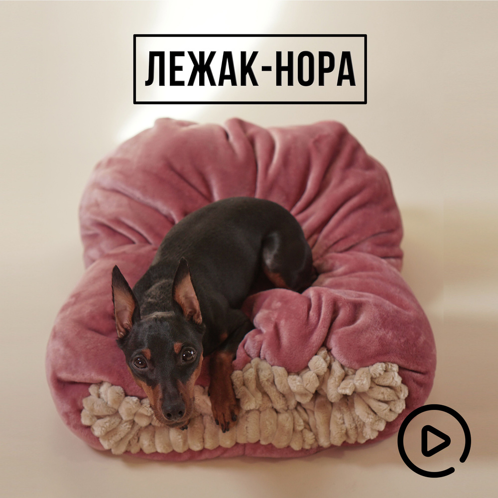 Что же необходимо купить для щенка Русского тоя (той-терьера) и щенков других мелких пород собак?