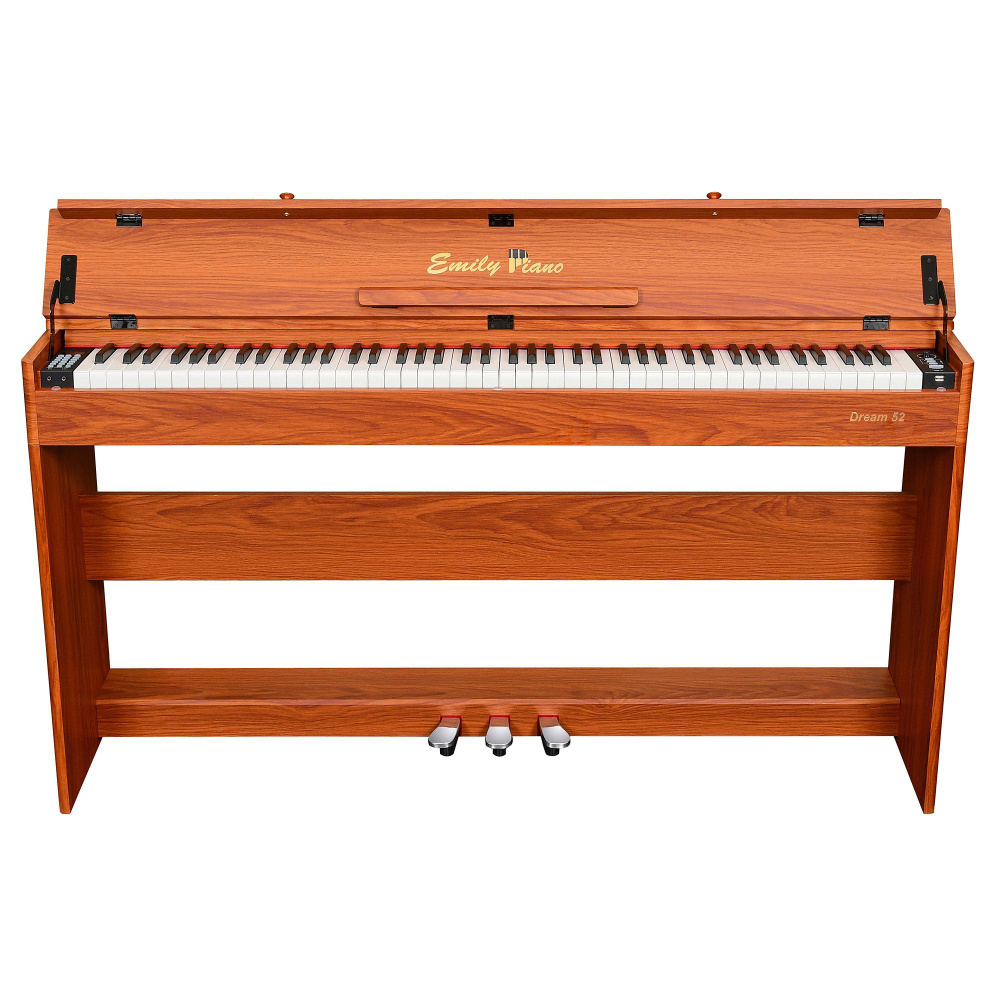 EMILY PIANO D-52 BR - Цифровое фортепиано с крышкой #1