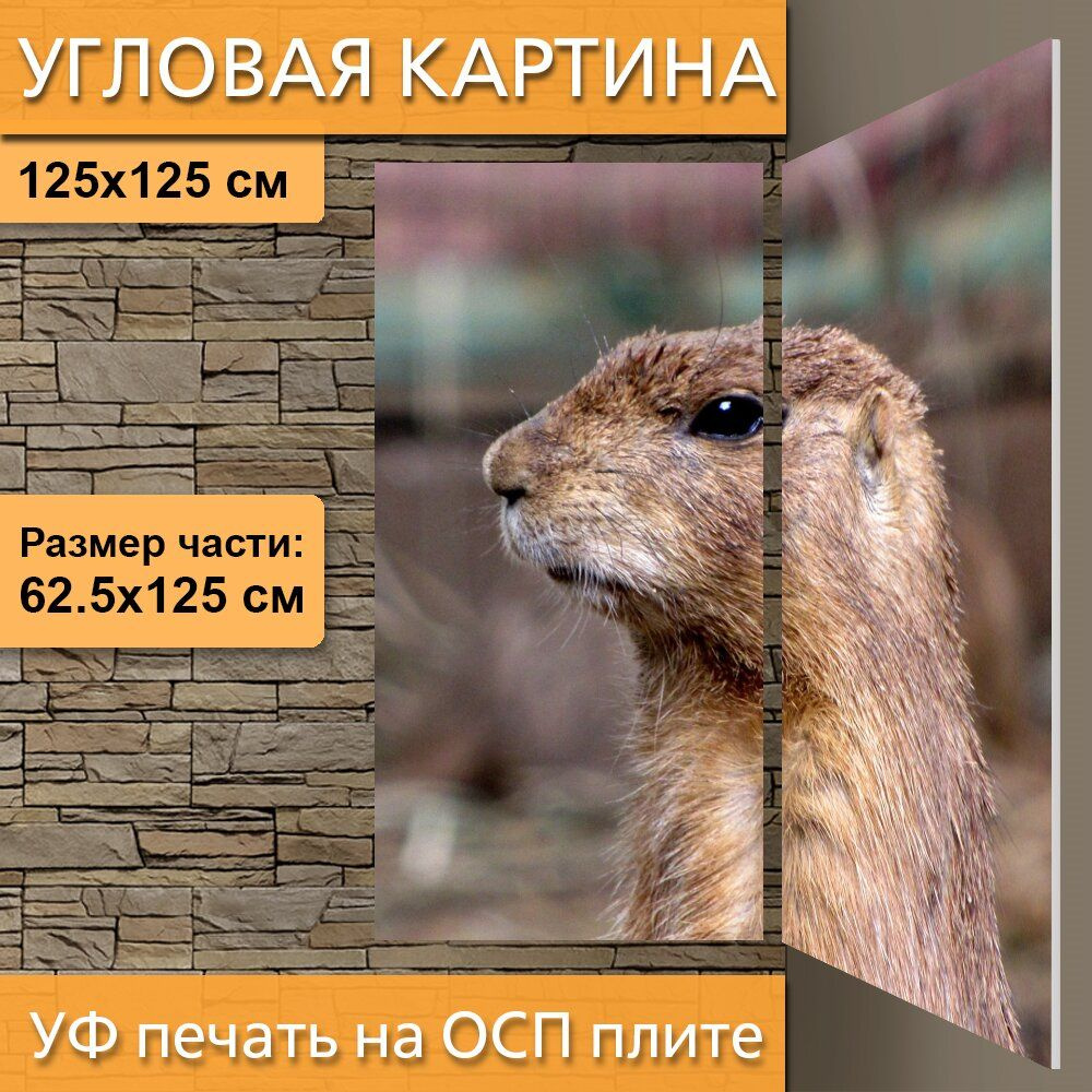 Угловая модульная картина 