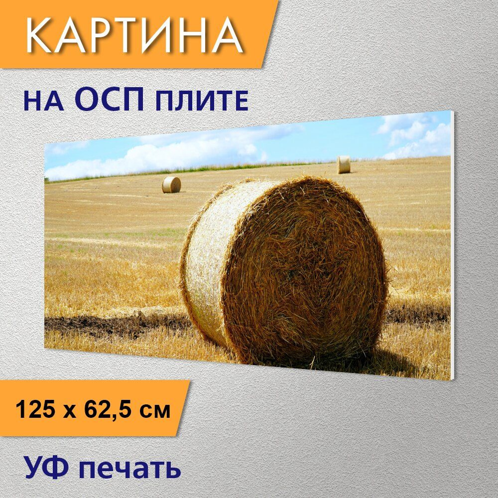 Купить сено в рулонах с доставкой в Москве и области